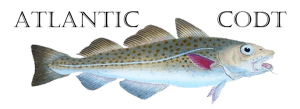 Atlantic CODT picture